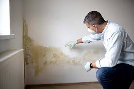 Forensic Mold Investigation in Ozark, AL